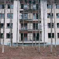 立ち枯れの樹木に囲まれた荒廃したマンションの写真