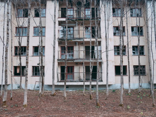 立ち枯れの樹木に囲まれた荒廃したマンション