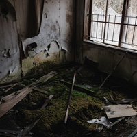 苔生した荒廃した廃屋の室内：瓦礫散乱する薄暗い空間の写真
