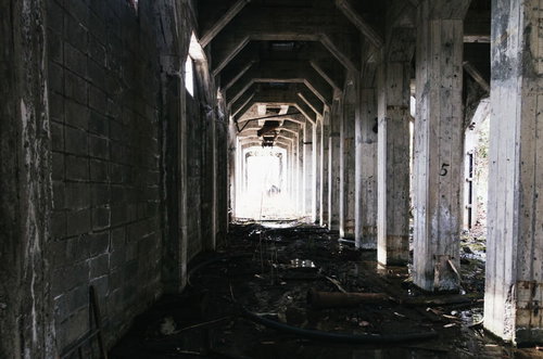 剥き出しのコンクリート柱が立ち並ぶ荒廃した通路