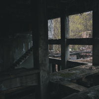 剥き出しの躯体と階段から見える秋の木々と窓枠の写真