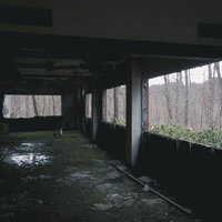 廃墟の窓の痕跡から望む木々と自然風景の写真