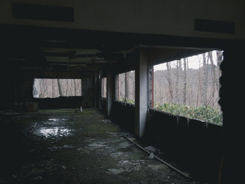 廃墟の窓の痕跡から望む木々と自然風景