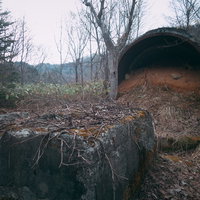 吐き出された赤土砂と枯木が積もる山林の土台の写真
