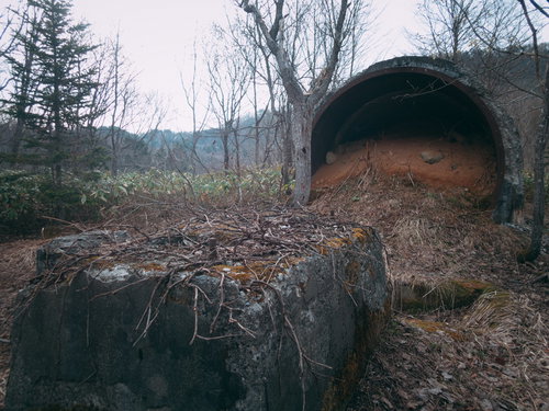 吐き出された赤土砂と枯木が積もる山林の土台