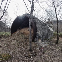 吐き出された土砂に埋もれた土台と枯木の災害現場の写真