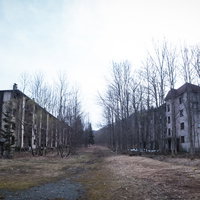 立ち枯れの木々と不気味な廃団地の道、風化した建物の遺構の写真