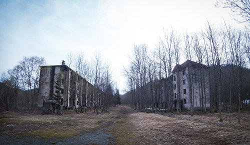 立ち枯れの木々と不気味な廃団地の道、風化した建物の遺構