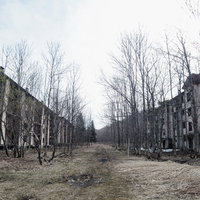 廃墟の間を抜ける曇り空の道と立ち枯れた木々の写真