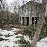 立ち枯れた木々に囲まれた廃墟のコンクリート建造物の写真