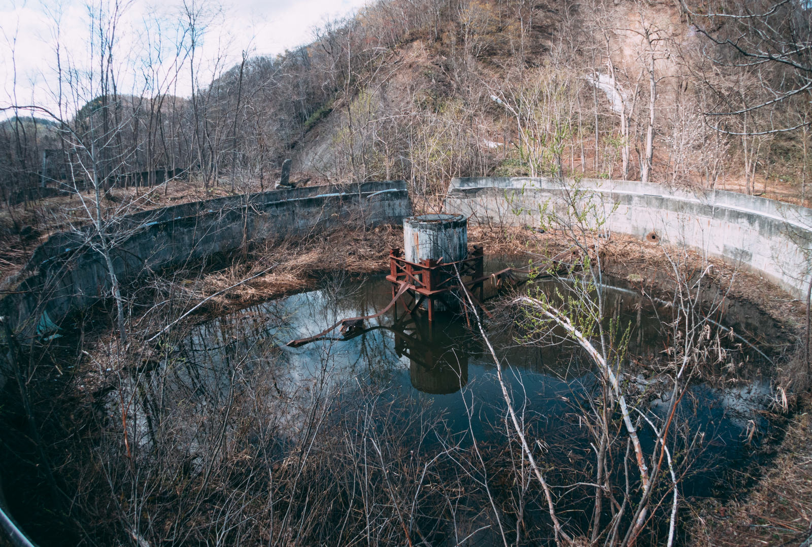 荒廃したコンクリート製の円形施設に水が溜まり周囲に立ち枯れした植物がある風景