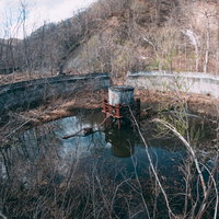 荒廃した円形の施設に溜まる水と立ち枯れた植物の写真