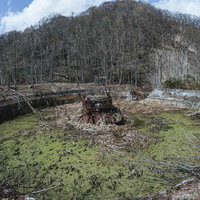 山間部の森林に立つ立ち枯れの木々に囲まれた廃施設の写真