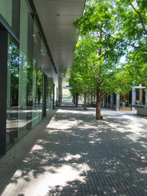 建物のテラスに街路樹が映す木々の影と光のパターン