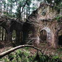 レンガの外壁が残る廃発電所、蔦に覆われた崩壊建物の写真