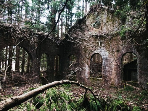 レンガの外壁が残る廃発電所、蔦に覆われた崩壊建物