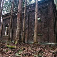 森の中に佇むレンガの廃発電所跡。風化した煉瓦造りの歴史的建造物の写真
