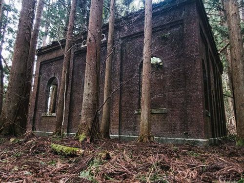 森の中に佇むレンガの廃発電所跡。風化した煉瓦造りの歴史的建造物