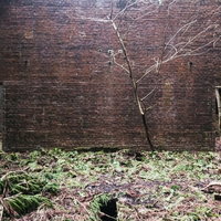 雑草が生えたボロボロのレンガ外壁の写真