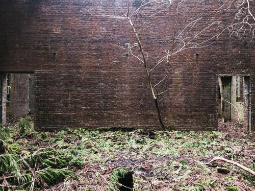 雑草が生えたボロボロのレンガ外壁