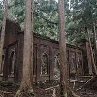 杉林に囲まれた廃発電所の煉瓦外壁と風化した壁面の写真