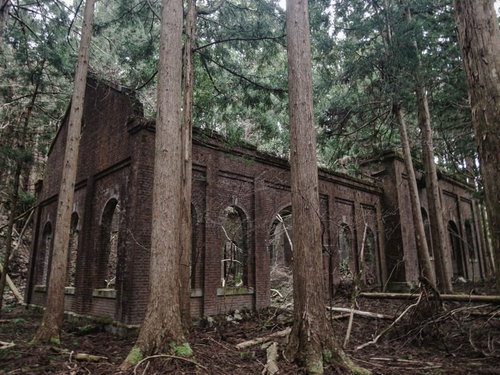 杉林に囲まれた廃発電所の煉瓦外壁と風化した壁面