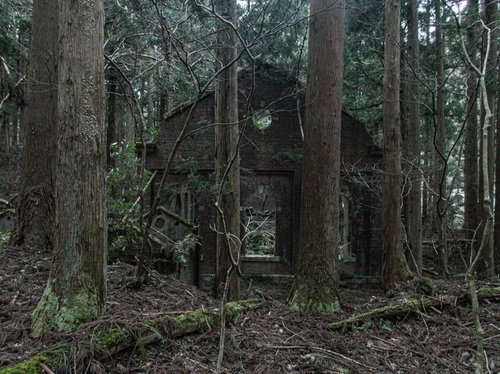 深い森の中に現れたレンガ壁の古い小屋と樹木