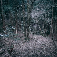 森と同化したレンガ造りの廃発電所の廃墟。自然に侵食された歴史的建造物の写真