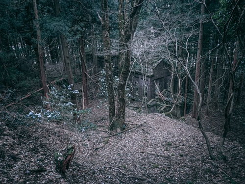 森と同化したレンガ造りの廃発電所の廃墟。自然に侵食された歴史的建造物