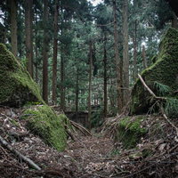 苔むした岩間の先に見える不気味な小屋と薄暗い登山道の写真
