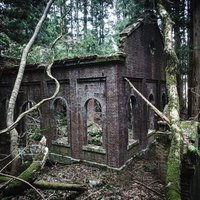 森の中に佇む崩れ落ちたレンガ壁の廃発電所の写真