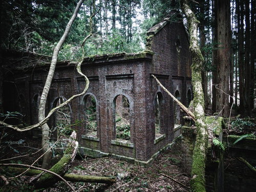 森の中に佇む崩れ落ちたレンガ壁の廃発電所