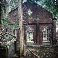 森の中にたたずむボロボロに朽ち果てた廃発電所跡の写真