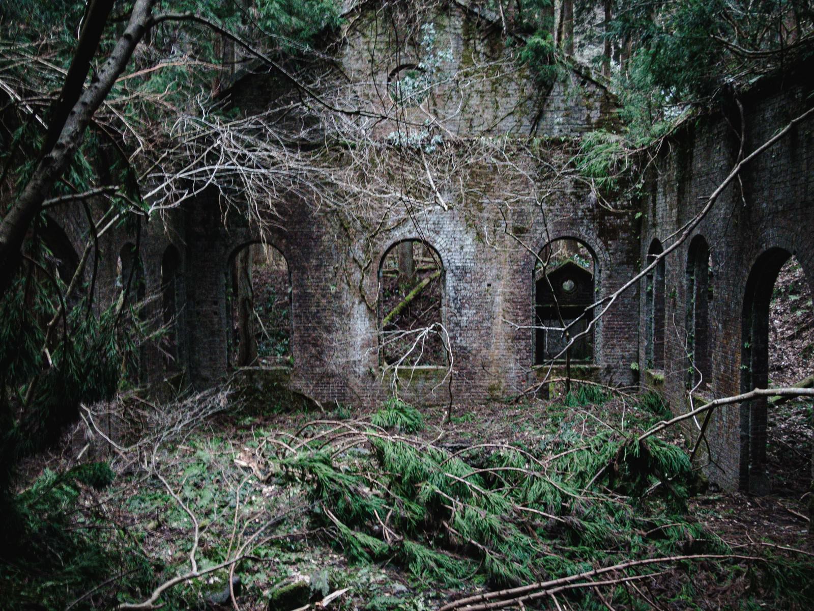 蔦に覆われた朽ちたレンガ造りの廃墟小屋