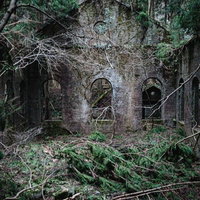 蔦に覆われた朽ちたレンガ造りの小屋の廃墟の写真