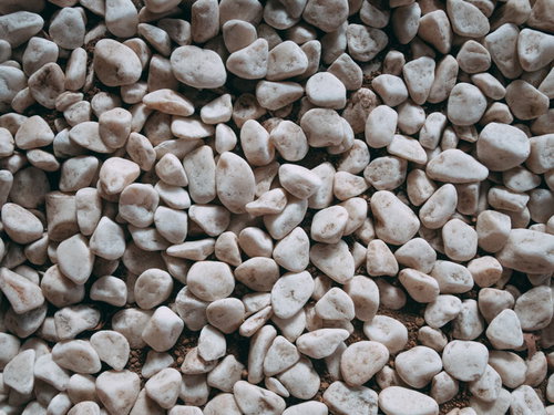 土の上にまかれた白い玉石のテクスチャーと敷石