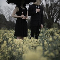 菜の花畑で傘をさすカップルの写真