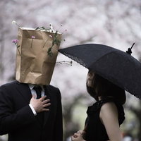 異色の恋、紙袋と傘で交わす春の挨拶―桜咲く季節の匿名な出会いの写真