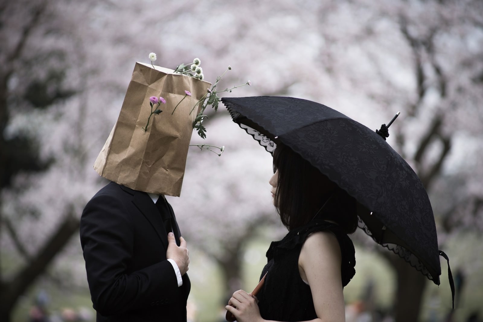 桜の木の下で紙袋を被った二人が向かい合い、一人が黒い傘を持っている