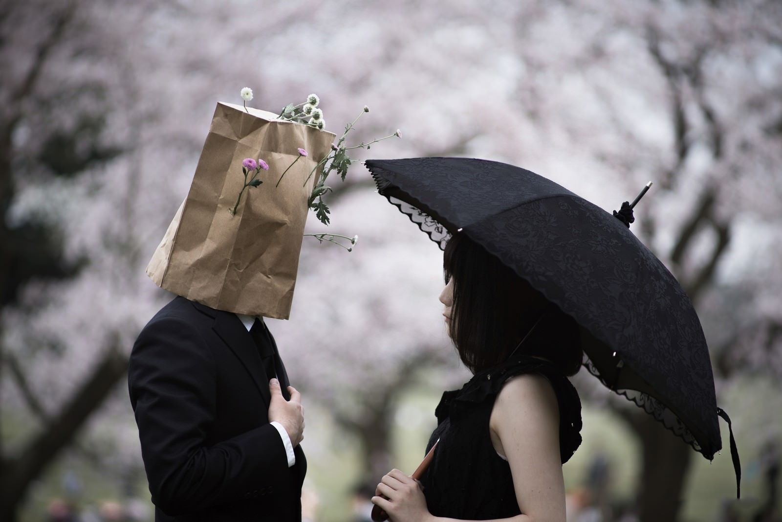 桜の木の下で紙袋を被った人物と日傘を持った女性が向かい合っている様子