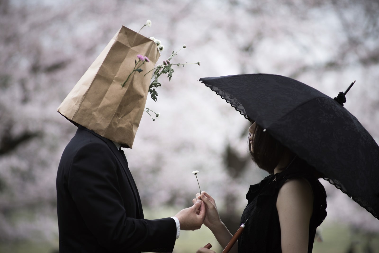 桜の木の下で紙袋を被った人物が日傘をさした女性にお花を渡している