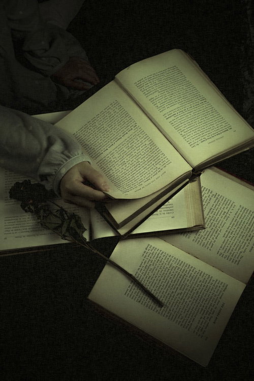 眼鏡をかけて洋書を読む手元のクローズアップ