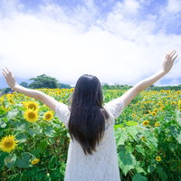夏到来！ひまわり畑で両手を上げてヤッホーする女性の写真