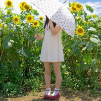 ひまわり畑で日傘を差す少女の後ろ姿～夏の日焼け対策の写真