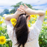 ひまわり畑で暑くて後ろに髪を束ねる女性の夏の後ろ姿の写真