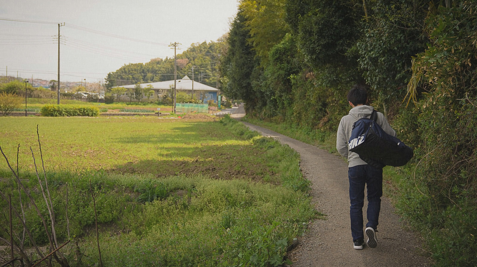 田舎道を歩く男性の後ろ姿、実家に帰省する息子のイメージ