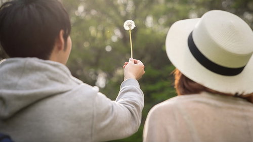 たんぽぽの綿毛を見つめる二人の後ろ姿、春のデート