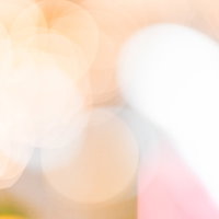 光あふれる暖色の丸ボケ背景の写真