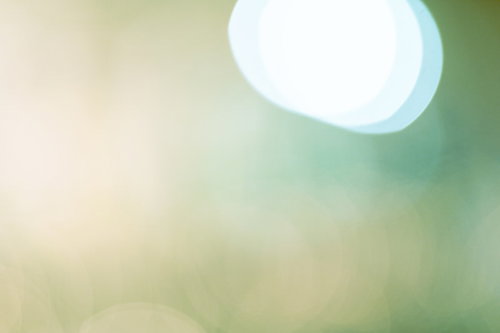 淡い緑のボケ味と丸ボケのライトアップ背景