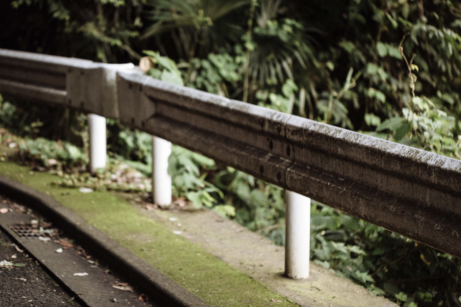 山奥の苔むしたガードレールと林道